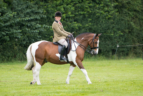 Banjo Wincanton 2021 (31 of 58)
