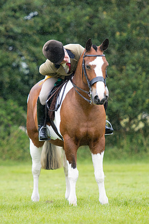 Banjo Wincanton 2021 (35 of 58)