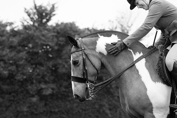 Banjo Wincanton 2021 (37 of 58)