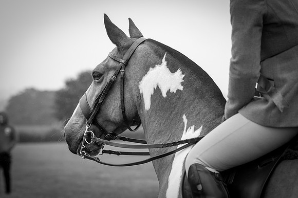 Banjo Wincanton 2021 (38 of 58)