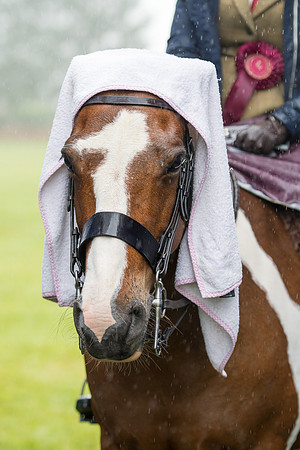 Banjo Wincanton 2021 (40 of 58)