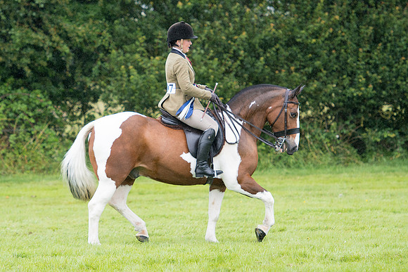 Banjo Wincanton 2021 (45 of 58)