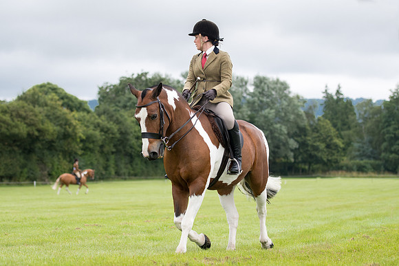 Banjo Wincanton 2021 (48 of 58)
