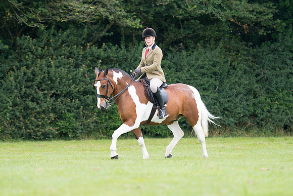 Banjo Wincanton 2021 (49 of 58)