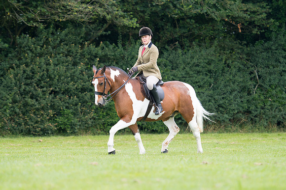 Banjo Wincanton 2021 (50 of 58)
