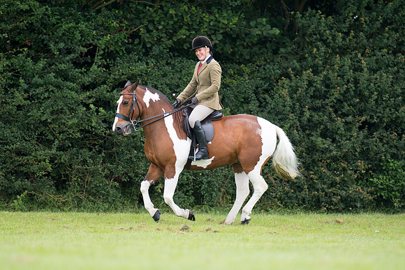 Banjo Wincanton 2021 (51 of 58)