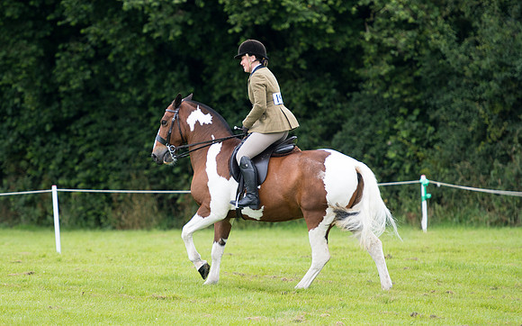 Banjo Wincanton 2021 (52 of 58)