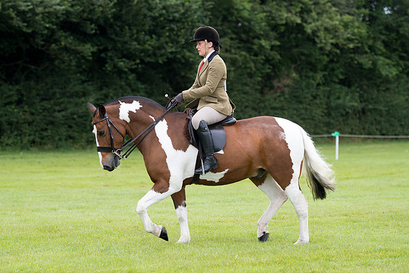 Banjo Wincanton 2021 (53 of 58)