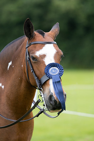 Banjo Wincanton 2021 (55 of 58)