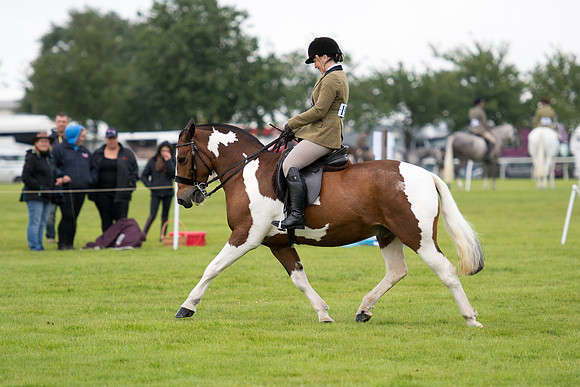 Banjo Wincanton 2021 (56 of 58)