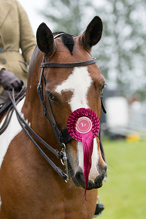 Banjo Wincanton 2021 (58 of 58)